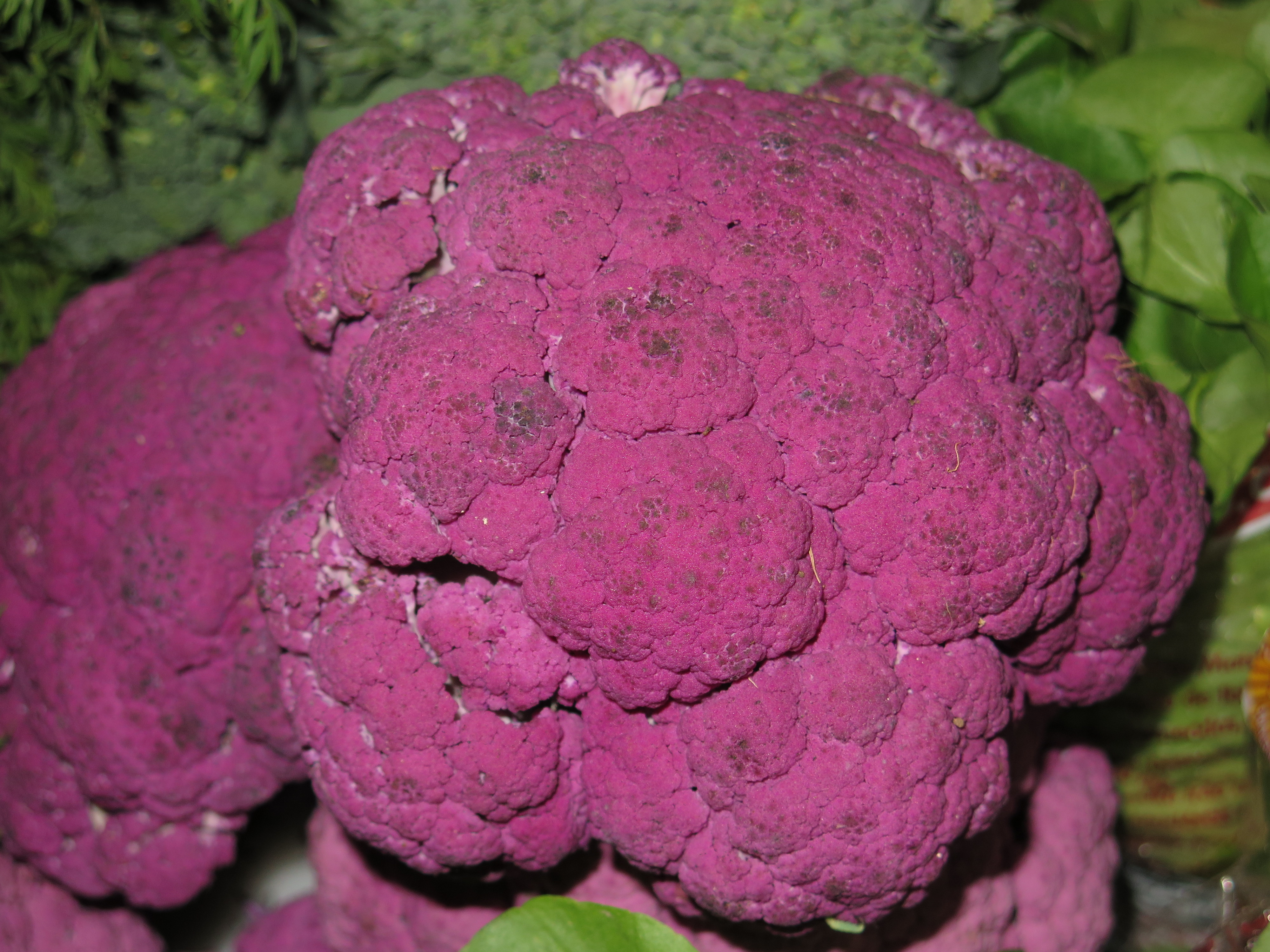 Fresh cauliflower for Bangladesh vegetable export market