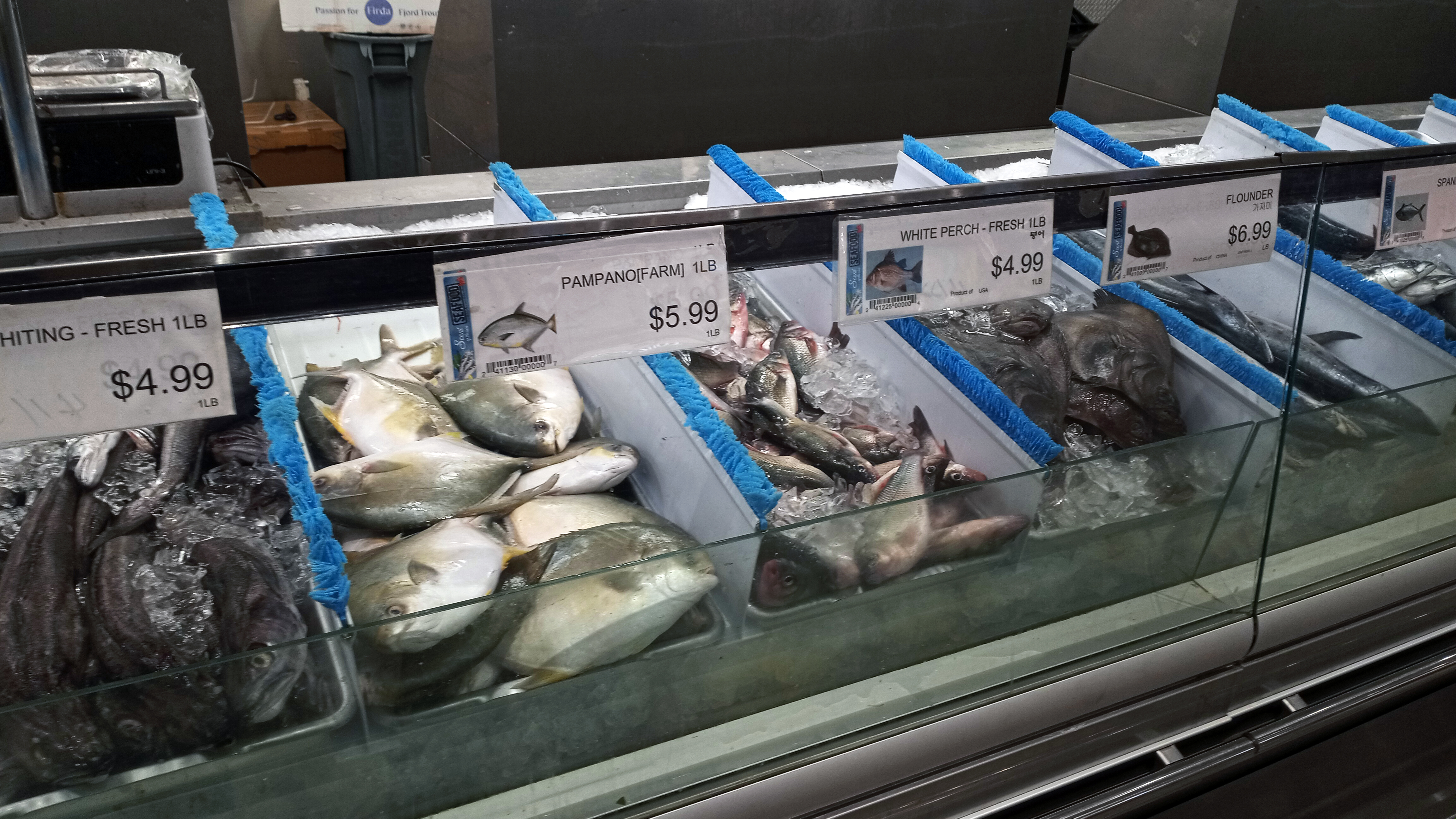 Variety of fresh fish displayed on ice for export showcase